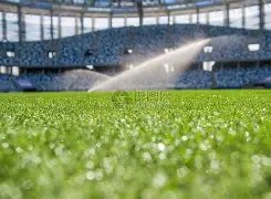 拒绝,孩子练体育,家长玩手机,KaiBao,Sports,开宝体育,体育直播,体育赛事,APP下载,官方网地址